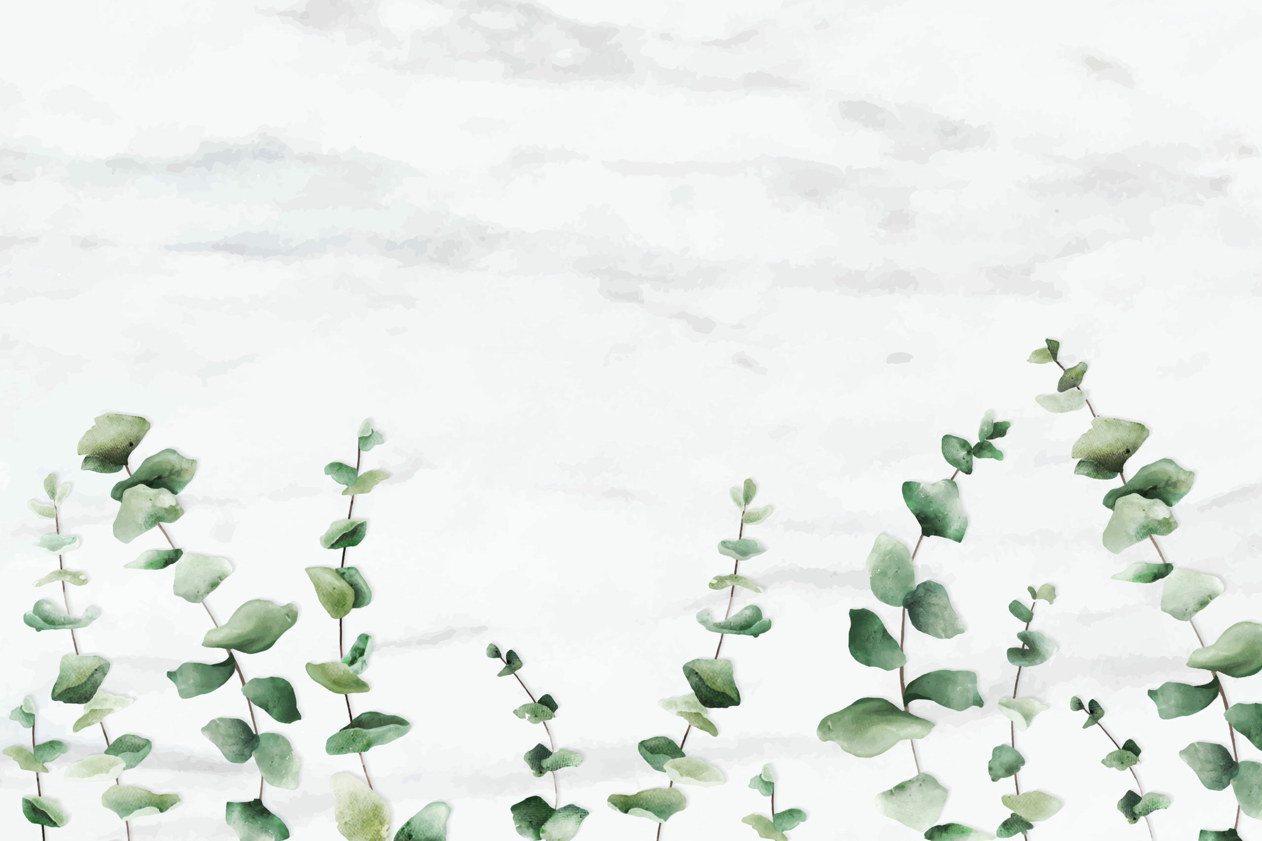 Aquarelle minimaliste d’eucalyptus vert doux pour jardins-paysages en Ariège, ambiance naturelle et apaisante