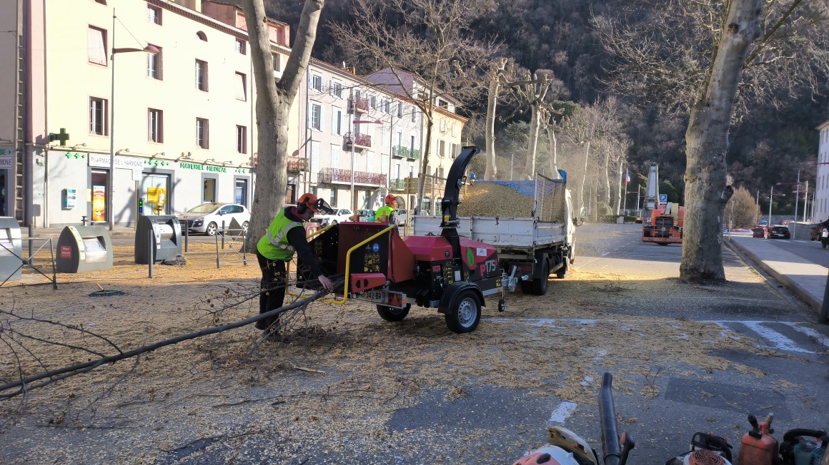 Élagage urbain avec broyeur de branches par jardins-paysages en ariège sur une place bordée d’immeubles